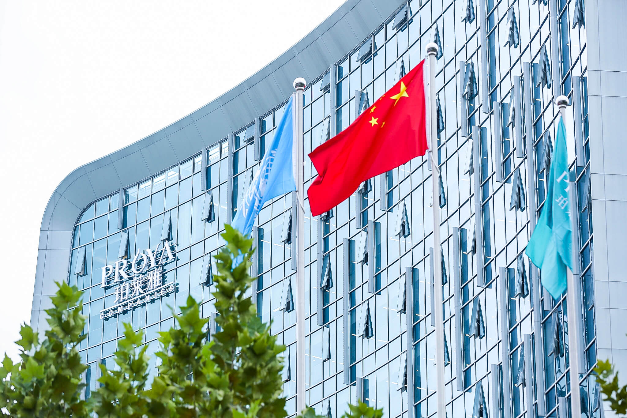 2039642114258350080 (1).jpg